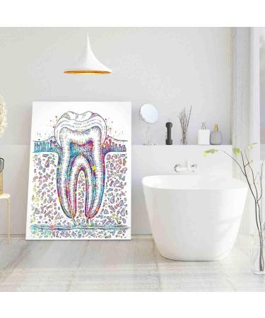 DAVUD Men'S Bedroom Decor Molar Tooth Section Watercolor Print Teeth Medical Art Surgeon Dental Clinic Office Decor Gift Dentist Dentistry Canvas Wall Art- 8 in x12 in-Ready to hang - Buy Online on GoSupps.com
