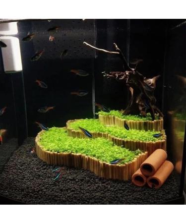 Haloppe 600 Pcs Water Grass Flowers Plant Seeds | Aquatic Plants for Home Garden & Aquarium Decoration - Buy Online on GoSupps.com