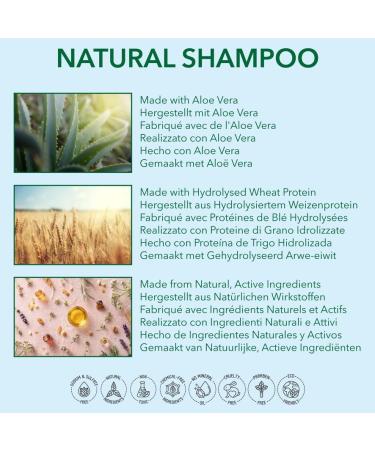 Natural Clarification Flushing - Apple Cider Vinegar & Tea Tree - 250ml | Paraben-Free Sulfate-Free Silicone-Free | pH 5.5 for Sensitive Skin - Nature's Intervention - Buy Online on GoSupps.com