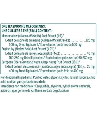 Genestra Kids English Ivy Cough & Cold Syrup 120 mL - Natural Relief for Children - Buy Online on GoSupps.com