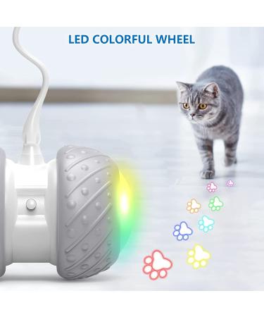Titipet Interactive Robotic Cat Toy - Auto Rechargeable Feather/Bird/Mouse Toy for Indoor Cats/Kittens - 360 Degree Self Rotating Ball - Buy Online on GoSupps.com