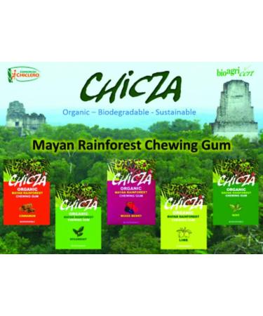 Mixed Berry - CHICZA - Certified Organic Rainforest Chewing Gum (1 Box) - Buy Online on GoSupps.com