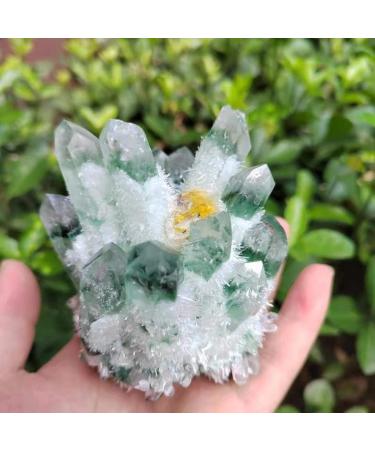 Natural Crystal Rough 1pc Natural Green Phantom Quartz Crystal Cluster Yellow Citrine Stone Ornaments 300G-900G for (Color : 1pc740g-800g Size : 1PC) 1PC 1pc740g-800g - Buy Online on GoSupps.com