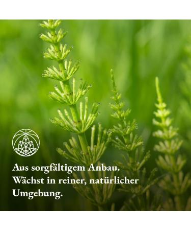Skail Tea 300g - 100% Pure Herbal Tea | Monte Nativo | Sustainable & Natural Horsetail | Aker Box | Gently Dried - Buy Online - Buy Online on GoSupps.com