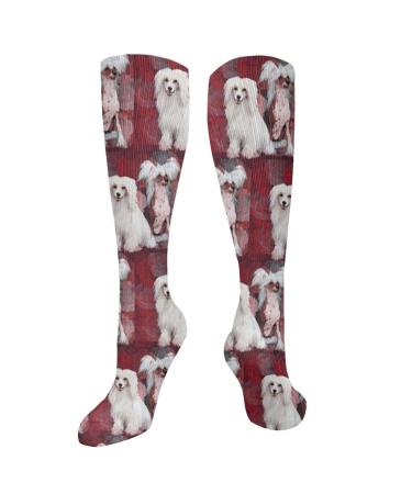 Chinese skopf dog compression socks for women and men circulation 15-20 mmHg is the best support for sporty running cycling