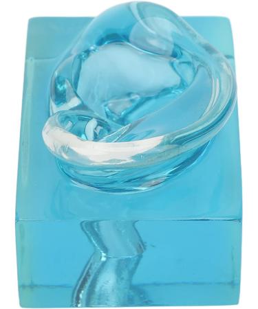 Buy Fake Right Ear Model - Wearable Acrylic Dummy Ear for Demonstration | International Shipping Available - Buy Online on GoSupps.com