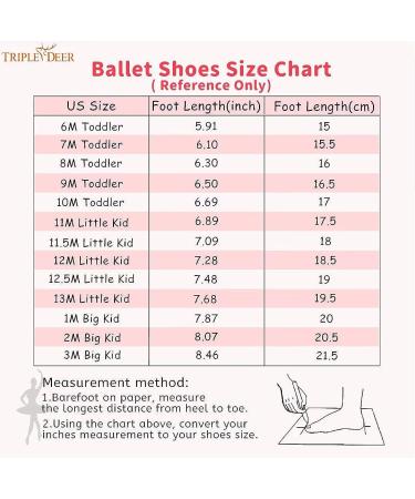 TRIPLE DEER Girls Ballet Shoes - Satin Dance Slippers for Toddler/Little/Big Kid | Pink Crown Design - Buy Online on GoSupps.com