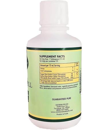 Liquid Chlorophyll 16oz. | Natural Mint Flavor | Immune Health | Intestinal Support - Buy Online on GoSupps.com