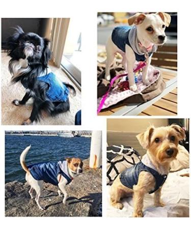 SILD Pet Dog Jeans Jacket Blue Denim Coat for Small Medium Dogs - XS Grey - Buy Online on GoSupps.com