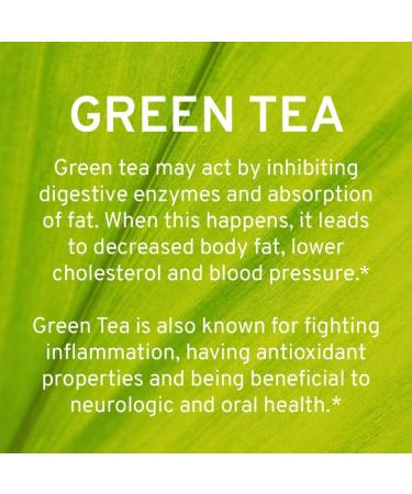 TRIO NUTRITION Apple Cider Vinegar Capsules with Green Tea - Natural Sugar Free Apple Cider Vinegar Pills with The Mother for Body Cleanse Immune Weight Management & Metabolism Booster* Apple Cider Vinegar and Green Tea - Buy Online on GoSupps.com