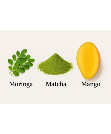  Quertee Quertee - Organic "Moringa Matcha Mango" Infusion - Organic tea with mango and a hint of fine herbs (200 g) - Buy Online on GoSupps.com