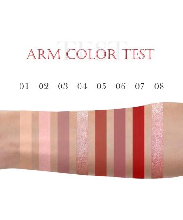 MEPHILIMIA Lipstick set velvety lip gloss with matte finish matte liquid lipstick 8 colors lip gloss makeup highly pigmented makeup for women - Buy Online on GoSupps.com