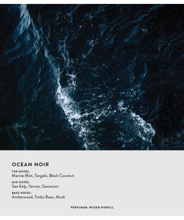 Michael Malul Ocean Noir Eau de Parfum for Men - 100ml | 3.4oz 3.4 Fl Oz (Pack of 1) - Buy Online on GoSupps.com