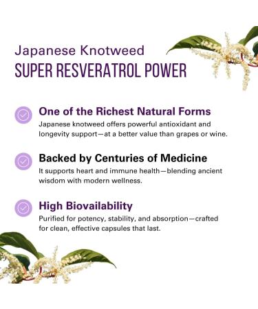 Trans-Resveratrol Highly Purified & Bioavailable Antioxidant Supplement for Unique SIRT1 Activation - Promote Cellular Repair, Longevity, Brain, Heart, DNA - 60 Capsules - Buy Online on GoSupps.com