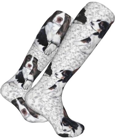 Springer Spaniel Compression Socks for Adults | 15-20 mmHg Support for Running & Cycling - Buy Online on GoSupps.com