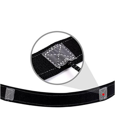 Buy Elastic Gel Loop Running Number Belt with Reflective Strip for Runners & Cyclists | Triathlete Racing Belt with Bag | Blue Start Number Belt - Buy Online on GoSupps.com