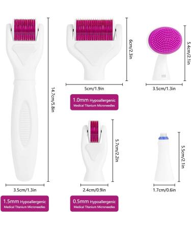 LOPHE 6 in 1 Derma Roller Kit Professional Microneedling Titanium Roller with Disassemble Working Heads 6 in 1 Kit - Buy Online on GoSupps.com