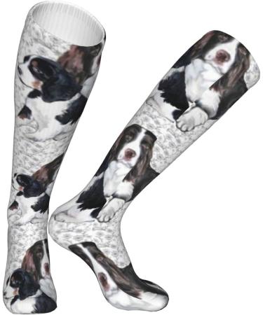 Springer Spaniel Compression Socks for Adults | 15-20 mmHg Support for Running & Cycling - Buy Online on GoSupps.com