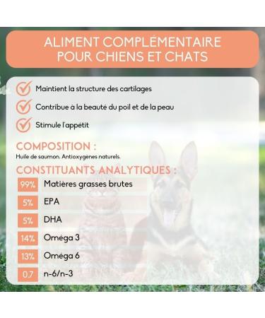 NUTRIVET INNE Salmon Oil for Dogs & Cats - 100ML Pump | Omega 3 & 6 Supplement - Buy Online on GoSupps.com