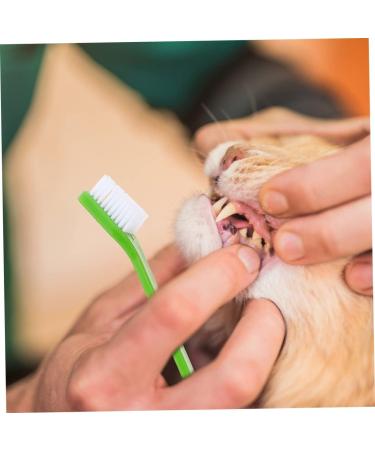 BCOATH 12pcs Double Head Dog Toothbrush Portable Toothbrush Pet Supplies for Small Dogs Doggie Toothpaste Puppy Care Pet Oral Care Set Dog Teeth Cleaning Tools Dog Supply Pet Brush - Buy Online on GoSupps.com