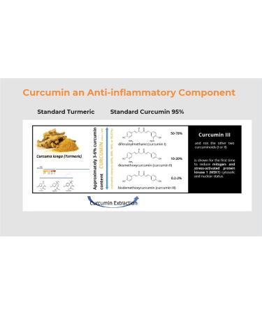 BIOBDMC Pro NovoCurcumin-BioBDMC50-Next Generation Highly Enhanced Curcumin-240 Capsules - Buy Online on GoSupps.com