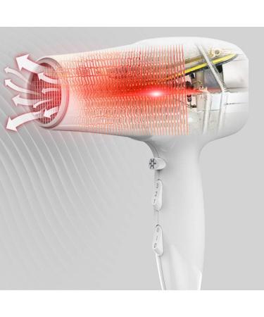 Hair Dryer 2200W Ionic Professional Blow Dryer with Air Nozzle 2 Speed 3 Heat Settings and Cool Shot Button Powerful AC Motor Fast Drying for Men and Women Home and Salon Small Gift - Buy Online on GoSupps.com