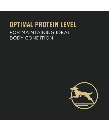 Purina Pro Plan Adult Wet Dog Food - High Protein Beef & Rice Formula - Buy Online on GoSupps.com