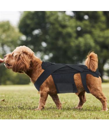 ALGONETO Dog Back Brace for IVDD Pet Dog Back Brace Comfortable Full Body Harness Dog Clothing Dog Back Protector L - Buy Online on GoSupps.com