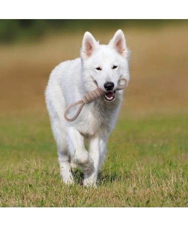 Fonpoo Natural Cotton Dog Toys Set for Medium & Small Dogs | 6-Part Puppy Intelligence Balls - Buy Online on GoSupps.com