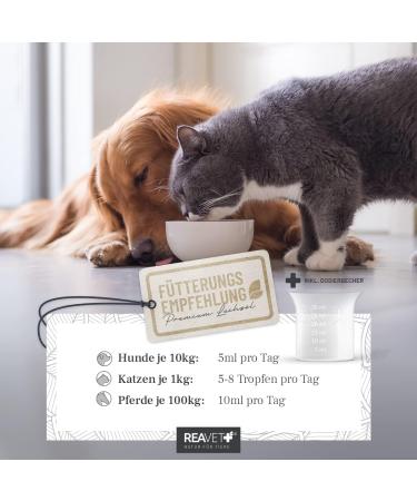 Reavet Salmon Oil for Dogs & Cats - 250ml Omega 3 & 6 Fish Oil | High Quality Additive-Free Real Food | Freshly Filled in Germany - Buy Online on GoSupps.com