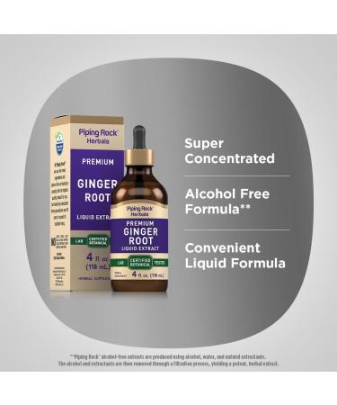 Piping Rock Ginger Extract Liquid Drops | 4 fl oz | Premium Tincture Supplement | Zingiber Officinale Root | Vegetarian Non-GMO Gluten Free - Buy Online on GoSupps.com