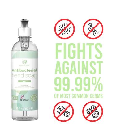 Greenerways Mint Antibacterial Hand Soap | Made in USA | Sulfate-Free, Paraben-Free | Vegan Hand Wash with Aloe Vera (16 Fl Oz, 6 Pack) - Buy Online on GoSupps.com
