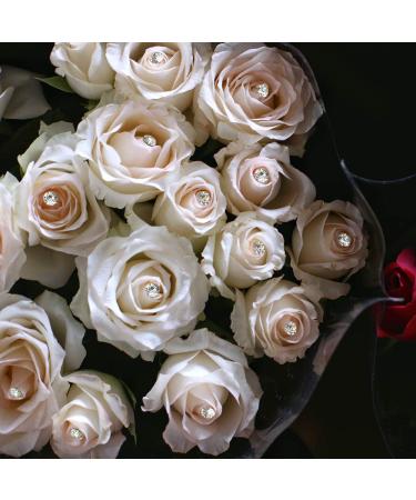 80 Pack White Crystal Rhinestone Hair Pins & U Shape Hairpins Set with Storage Bottle - Wedding Hair Clips Professional Hairdressing Grip Clip (40 Crystal Pins + 40 U Shape Pins) - Buy Online on GoSupps.com