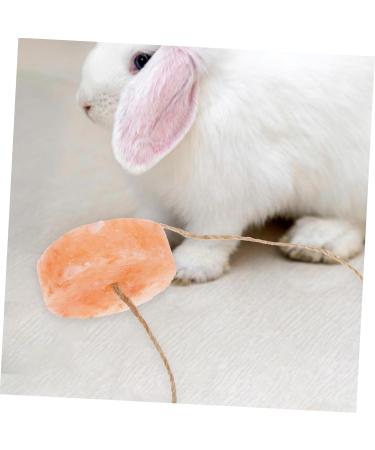 Kisangel Pet Salt Block Hamster Supply Salt Brick for Rabbit Nutrition Hamster Animals Salt Rabbit Salt Brick Salt Blocks Rabbit Licking Salt Safety Rabbit Salt Creative Rabbit Salt - Buy Online on GoSupps.com