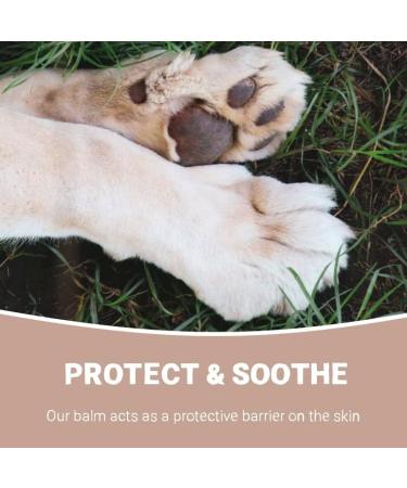 Pet Purest Coconut Paw & Nose Balm 100% Natural Moisturizer for Dogs & Cats - Soothes Itchy Skin & Dry Nose - 100ml - Buy Online on GoSupps.com
