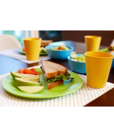 Green Eats 4 Pack Snack Plate Set - Eco-Friendly and Sustainable Green Dining Essentials - Buy Online on GoSupps.com