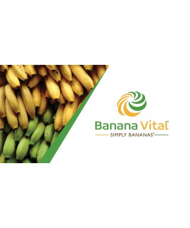 Banana Vital Simply Bananas Fruit Bar - Shelf-Stable, Gluten-Free, Vegan, Non-GMO - 18 Count (30g) Bars - Original Banana Flavor - Buy Online on GoSupps.com