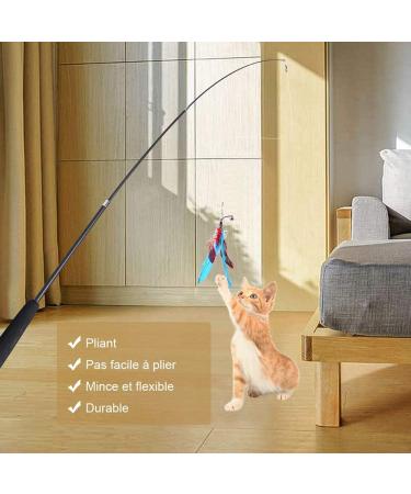 Goldge Cat Toys - Feather Retractable Fishing Rod with 12 Refills | Interactive Play for Indoor Cats & Kittens - Buy Online on GoSupps.com