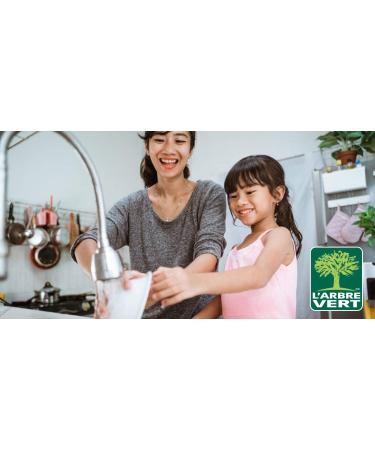 L Arbre Vert Hypoallergenic Dish Wash Liquid Soap - Eco Friendly with Plant Based Ingredients for Sensitive Skin Unscented - Buy Online on GoSupps.com