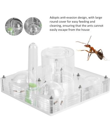 Jeanoko Acrylic Ant Castle Nest Hunting Ground Breeding Box Transparent Watching Feeding Case Ants House Toy For Childreninsect supplies - Buy Online on GoSupps.com