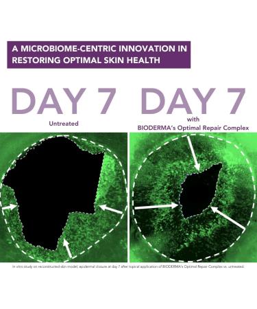 Bioderma Cicabio Soothing Repair Cream for Face and Body 40 ml - Buy Online on GoSupps.com