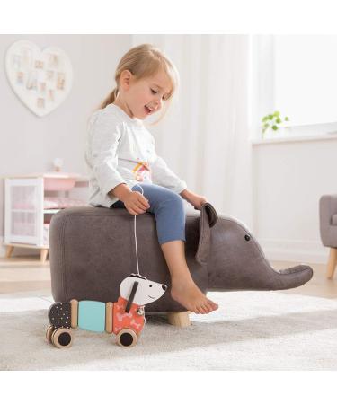Buy Howa Pull-Along Toy Dog Fidi - Wooden Toy for Kids | International Shipping Available - Buy Online on GoSupps.com