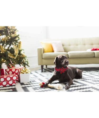 Shop Aring Pet Christmas Dog Collar - Adjustable Soft Cotton Red Plaid with Flower | Festive Red-Black Checkered Design - Buy Online on GoSupps.com