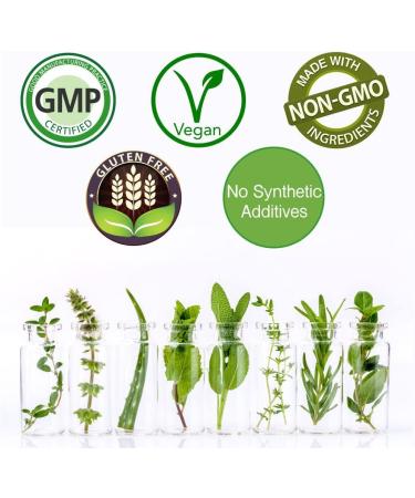 Rejuvenation Therapeutics Pure Organic Garlic Heart Health & Immune System Support (120 Vegan Capsules) - Buy Online on GoSupps.com