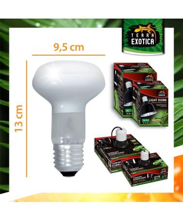 Terra Exotica 150W Heat Spot Radiator for Reptiles - Optimal Terrarium Lighting & Heat Lamp - Available in 25W to 150W - Buy Online on GoSupps.com