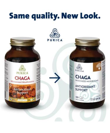 PURICA Chaga Mushroom Capsules 120 Count - Premium Mushroom Supplements for Men's Well-being 120 count (Pack of 1) - Buy Online on GoSupps.com