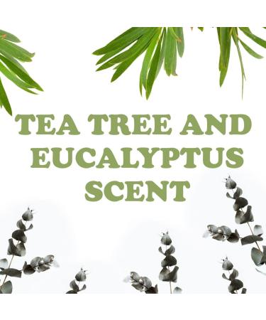 Thai Crystal Deodorant Mist 8 oz (Tea Tree & Eucalyptus) - Natural Deodorant Spray for Men and Women | Cruelty-Free | Made in Thailand - Buy Online on GoSupps.com