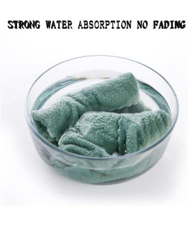 TOPJINZHIONE 2 Pack Ultra Soft Cotton Face Washcloths | Microfiber Hand Towel for Hotel Spa | Coral Velvet Face Towel - Buy Online on GoSupps.com