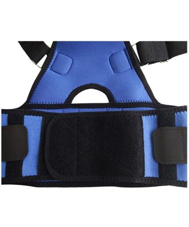 HXFFXHF Posture Corrector Adjustable Humpback Shaping unisex back correction belt tool - Buy Online on GoSupps.com