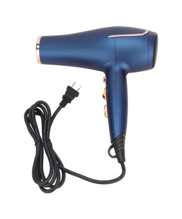 800W Blow Dryer High Power Ionic Hair Dryer Professional Design Multifunctional Settings Hairdryer for Hair Care (White) US Plug 110V 1100W plus 1100W White